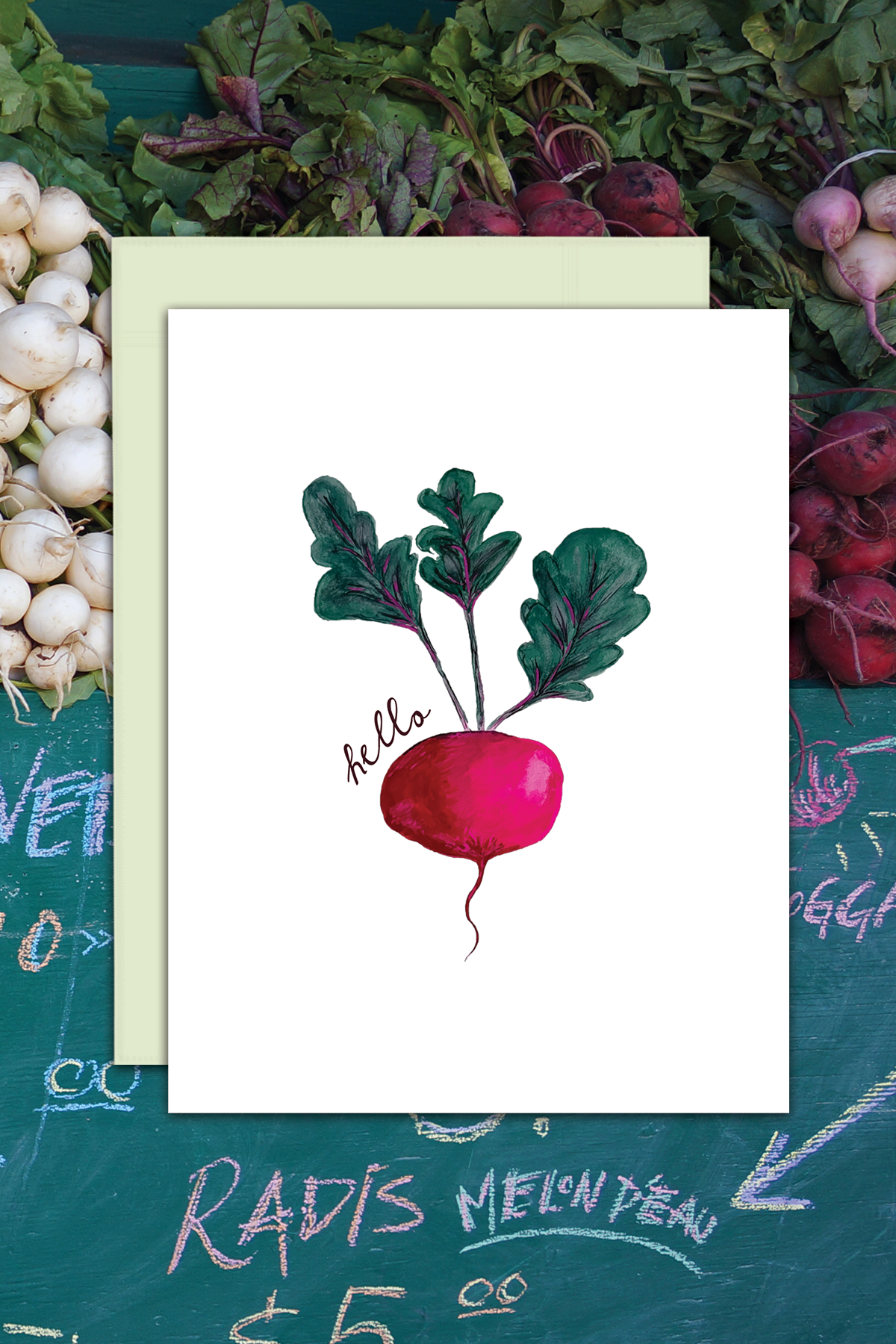 Ruby Radish- Everyday