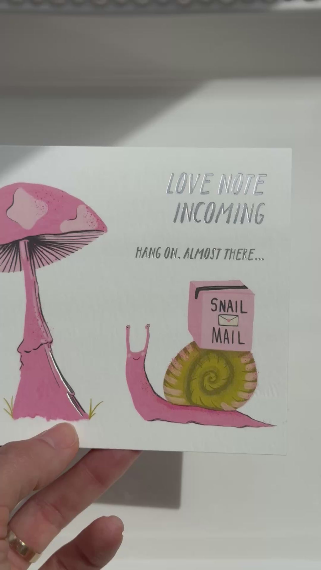 Snail Mail- Anniversary