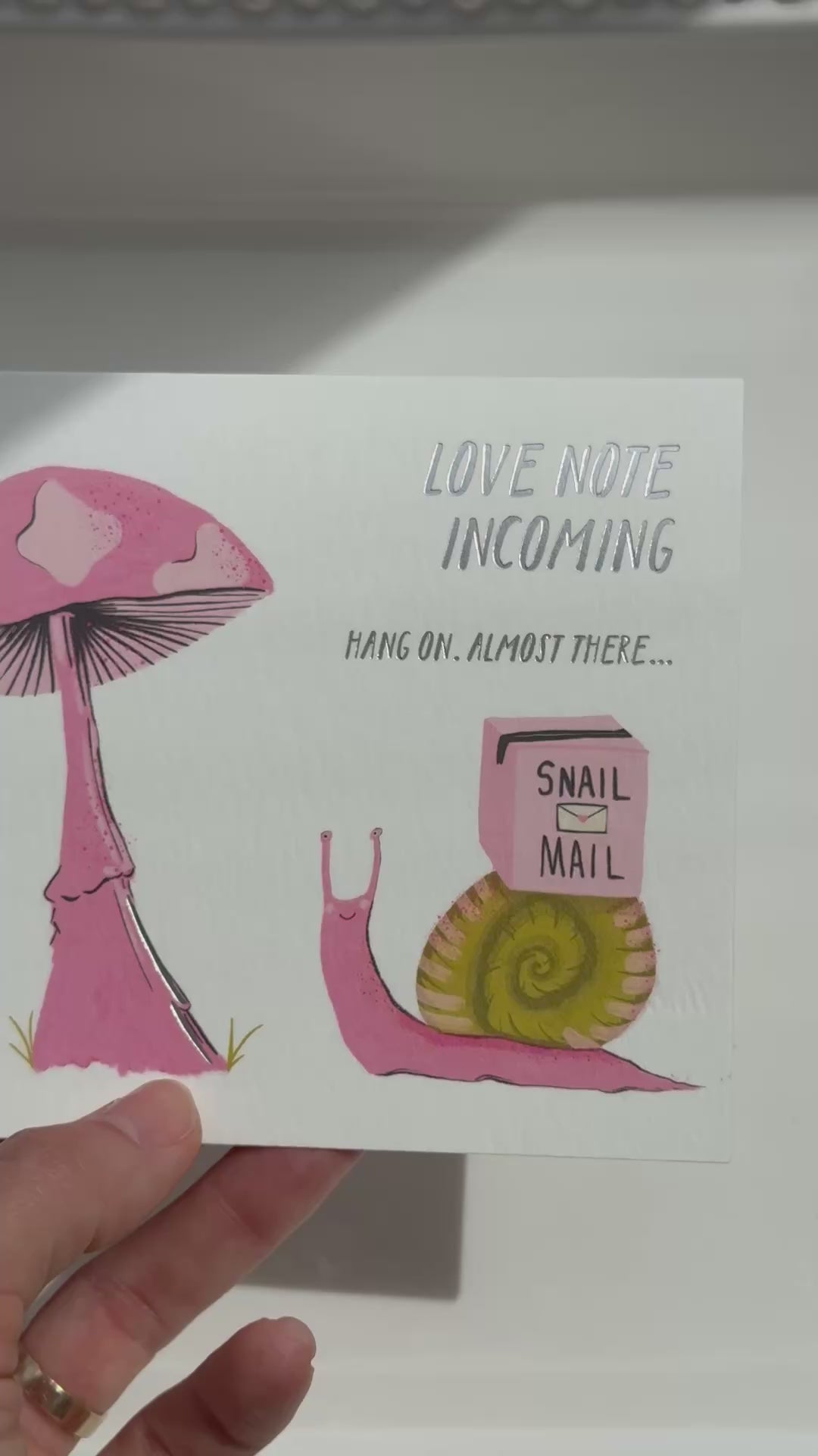 Snail Mail- Anniversary